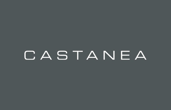 Castanea Partners Announces Its Investment in Lee Munder Capital Group